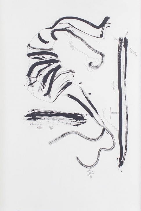 Shrimp Development by Leroy Miranda Jr. | Ink on Stonehenge Archival Linen, Framed. Shrimp Development